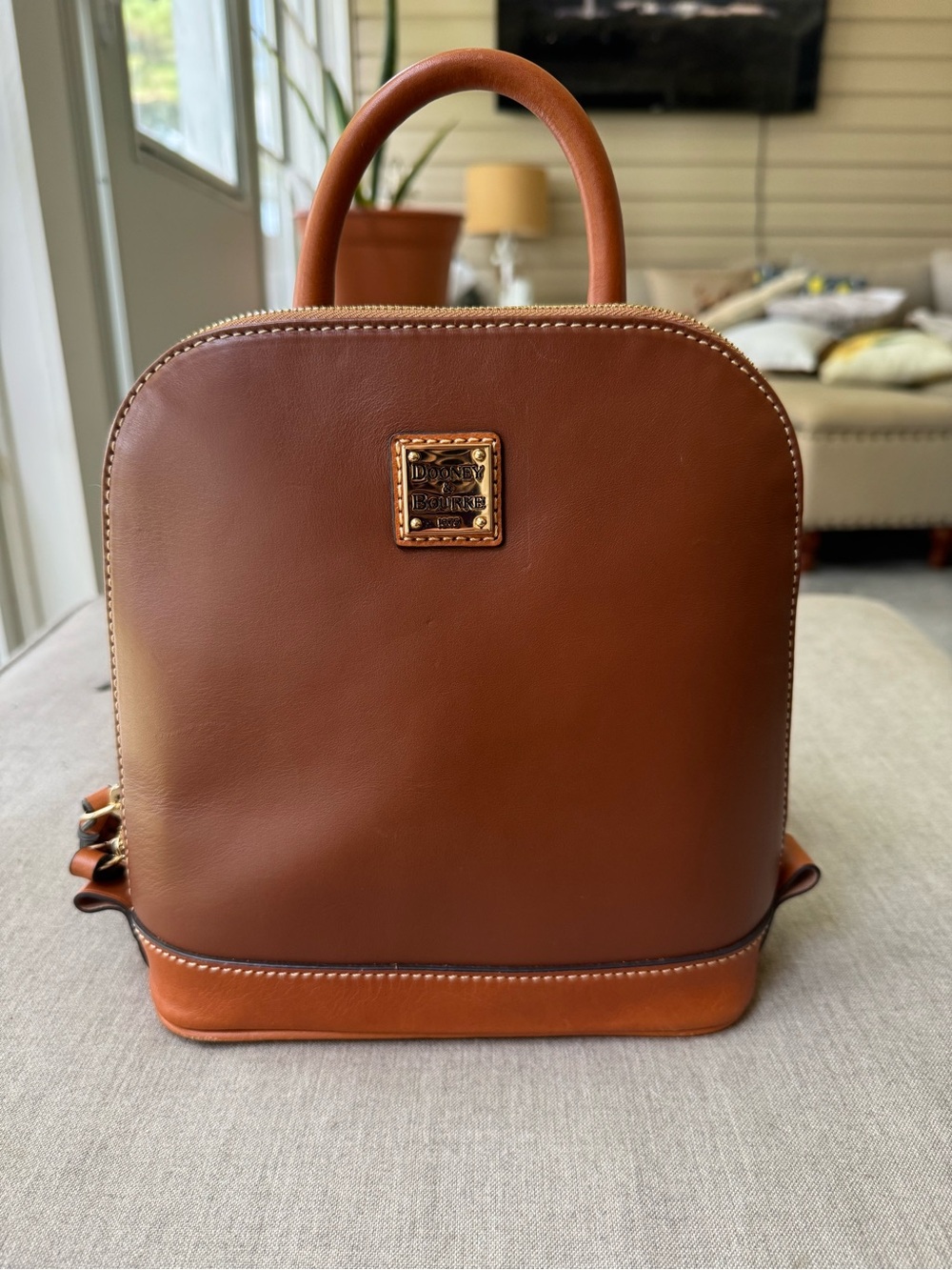 Dooney & Bourke Brown Leather Mini Backpack